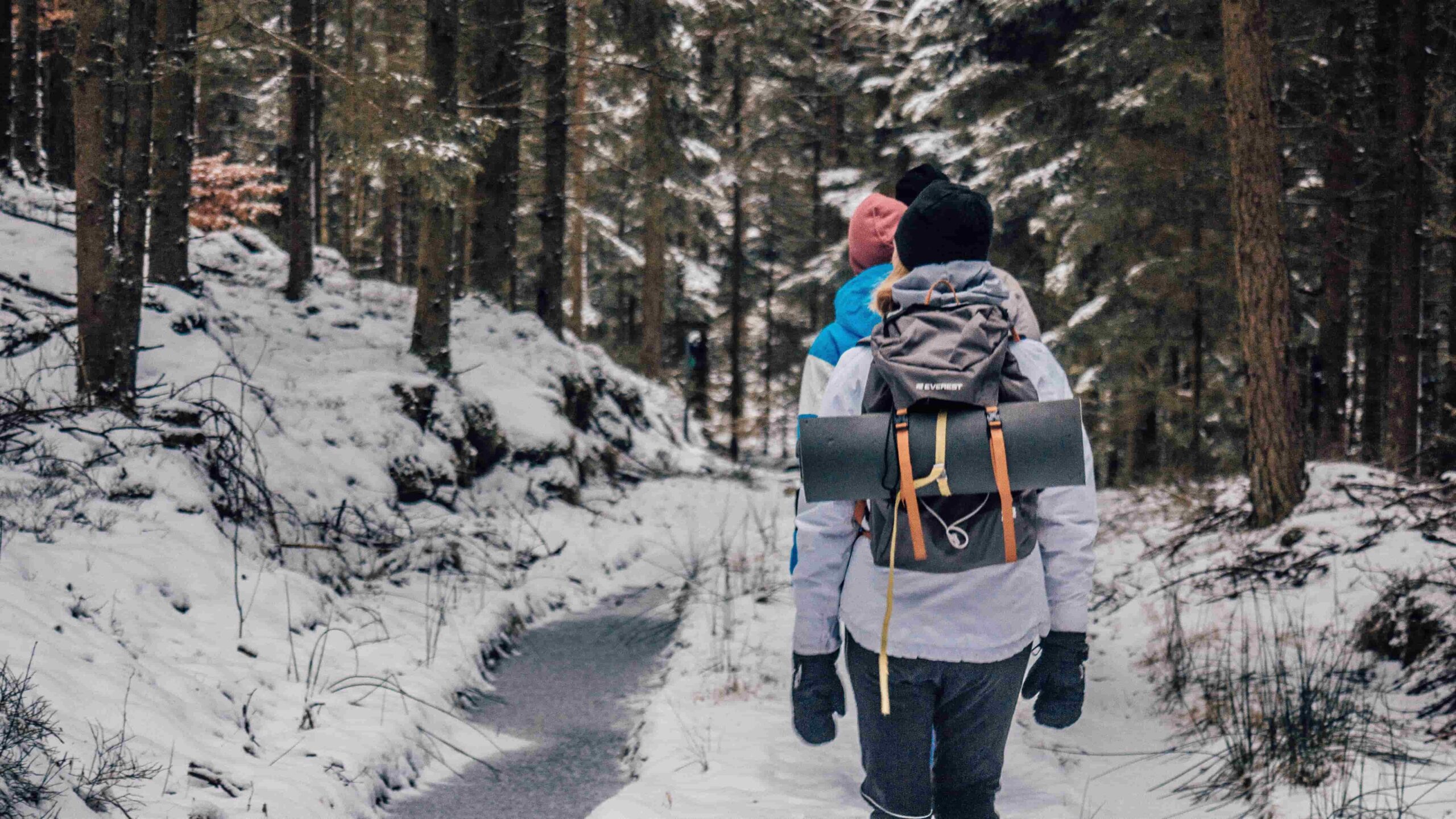 En gjeng med yngre folk på tur i skogen. Det er vinter, de går på rekke med ryggen til kamera.