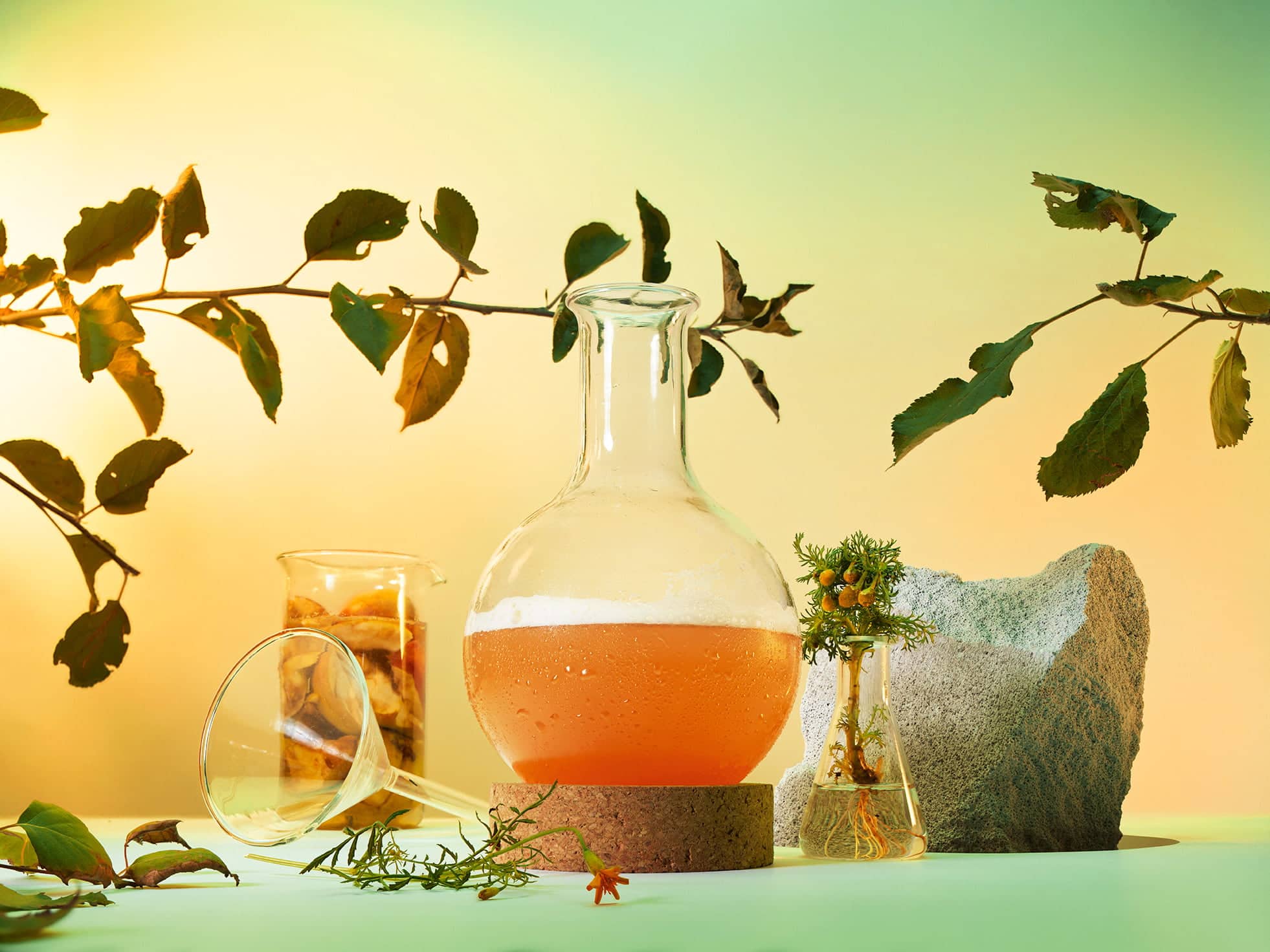 Et vakkert dekorativt bilde med et laboratie-glass fylt med oransje væske, omkranset av blader, stein og andre laboratieglass.