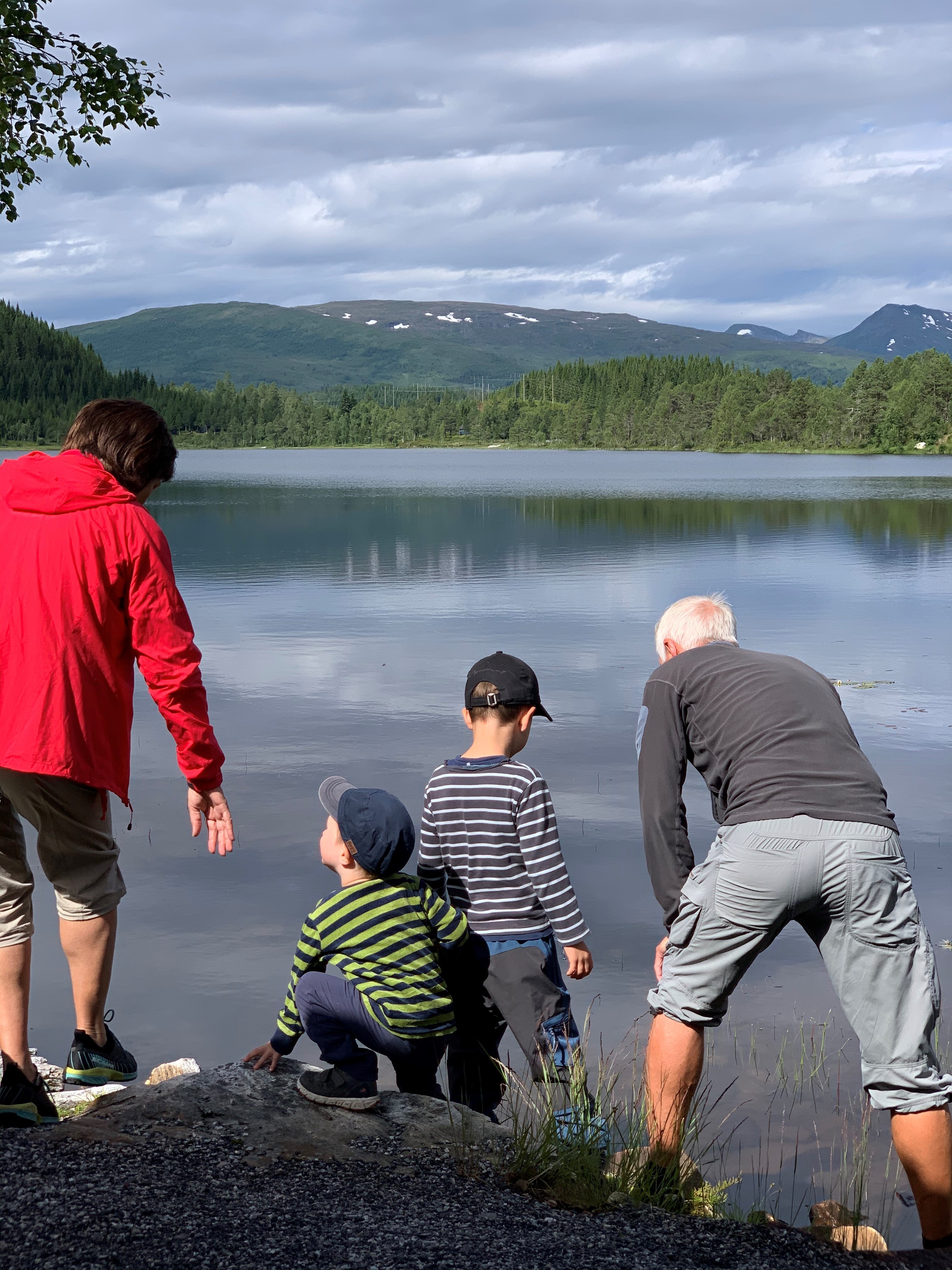 Bilde av besteforeldre med to gutte-barnebarn. Alle står i vannkanten med ryggen til. De to barna har caps og stripete gensere.